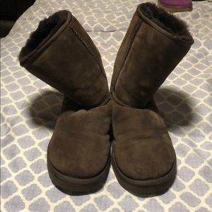 Chocolate Brown Short UGGs